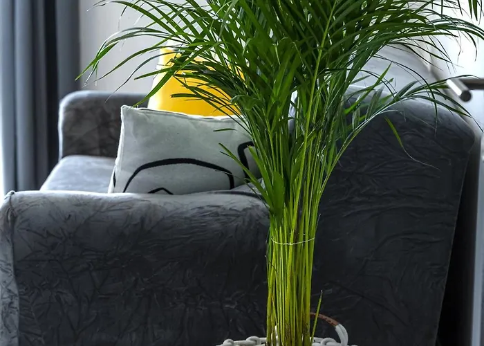 Apartment Martina Cavtat